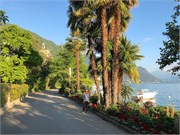 15-Montreux