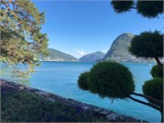 14-Lugano