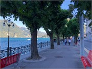 20-Lugano