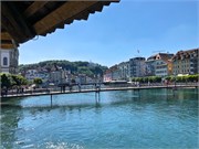 12-Lucerne