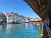 14-Lucerne