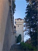 41-Lucerne