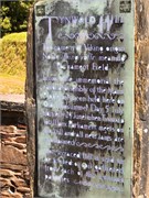 10-Tynwald