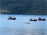 31-Ullapool
