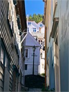 12-Bergen2018
