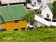 41-Hammerfest