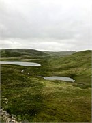 30-Honnensvang_Norway