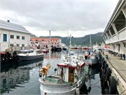 43-Honnensvang_Norway