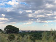31-Madrid-1
