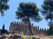 05-Toledo