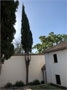 50-Granada