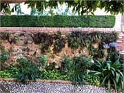 50-Alhambra