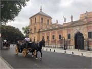 12-Seville