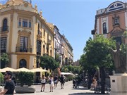 31-Seville