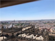 28-Caterdal_Seville