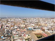 33-Caterdal_Seville