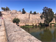 74Merida
