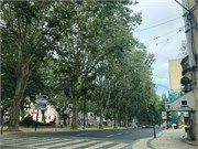 15-Coimbra