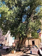 Montenegro-12