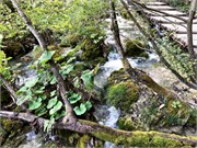 OpatijaCroatia-15