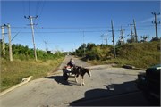 021_Cienfuegos-Cuba_2019