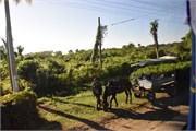 025_Cienfuegos-Cuba_2019