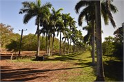 034_Cienfuegos-Cuba_2019