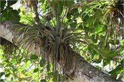 036_Cienfuegos-Cuba_2019