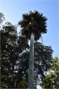 044_Cienfuegos-Cuba_2019