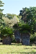 046_Cienfuegos-Cuba_2019