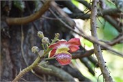 049_Cienfuegos-Cuba_2019