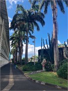 17_Martinique_2019