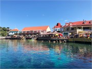 1_Roatan_2019
