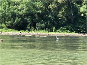 10_SantoTomas_2019