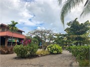 08_HarvestCaye_2019