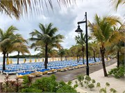 17_HarvestCaye_2019