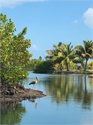 27_HarvestCaye_2019