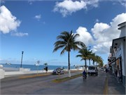 06_Cozumel2_2019