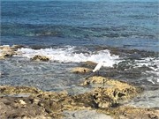 10_Cozumel2_2019