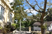 113_Havana-Feb_2019