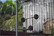 143_Havana-Feb_2019