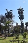 224_Havana-Feb_2019