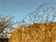 012-Normandy