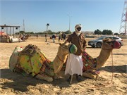 008-Desert_Qatar