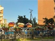 050-Addis_Ababa