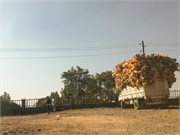 007-2_Debre_Libanos