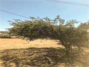 040-2_Debre_Libanos