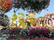 014-Miracle_Garden_Dubai