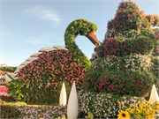 024-Miracle_Garden_Dubai