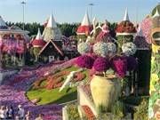 029-Miracle_Garden_Dubai